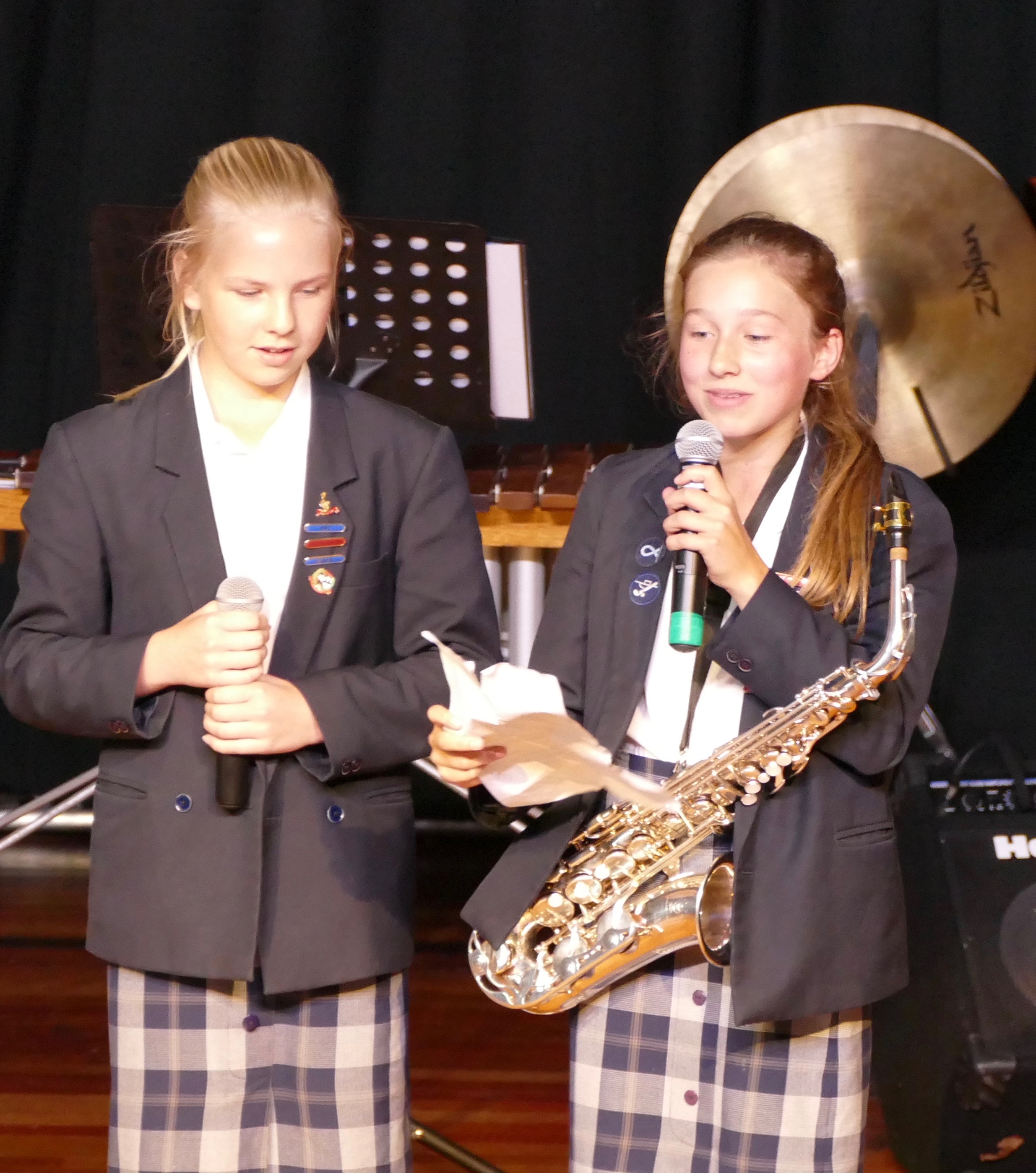 Summer Concert, 17th June 2016